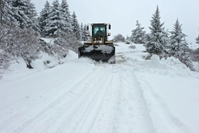 Ordu kara teslim oldu