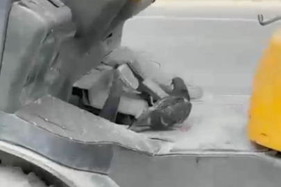 Düzce'de forkliftte seyahat eden kuş gülümsetti