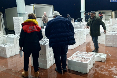 Bursa'da 150 kilogram tekir balığına el konuldu