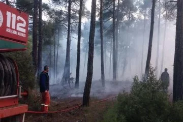 Orhaneli'de ormanlık alanda yangın!