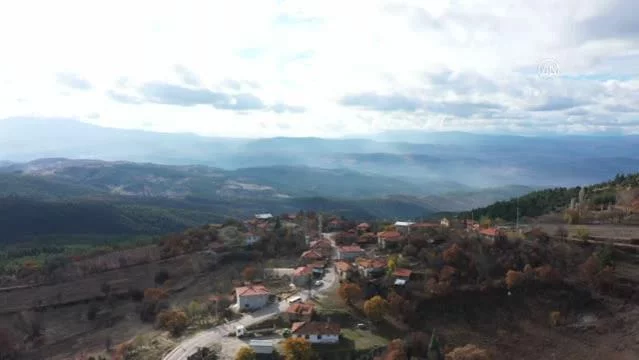 Harmancık'ta dağ köyünün nüfusu 10 katına çıktı